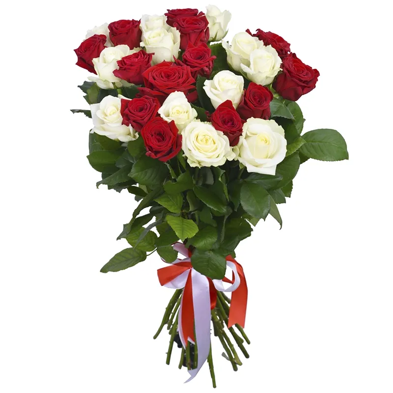 Букет из 21 красной и белой розы россия (80 см)